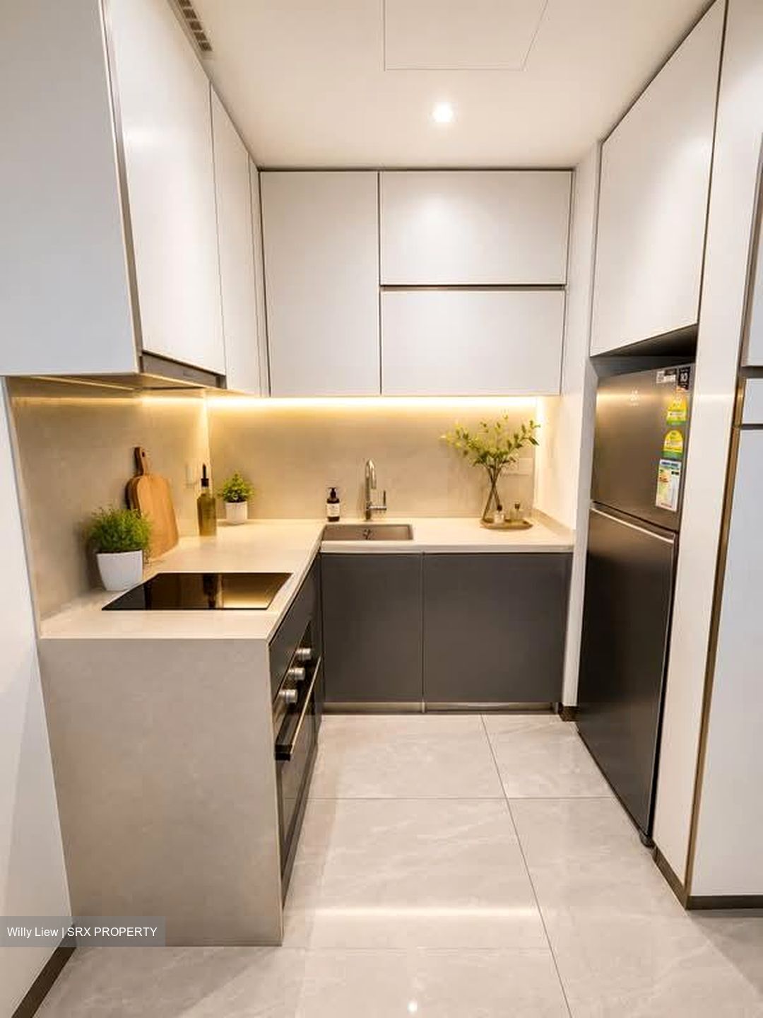 Normanton Park (D5), Apartment #587226961